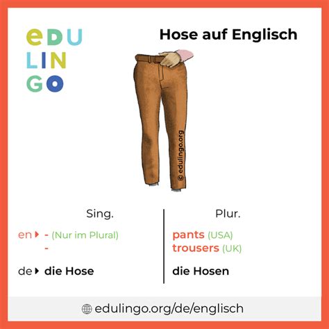 was bedeutet hose auf englisch